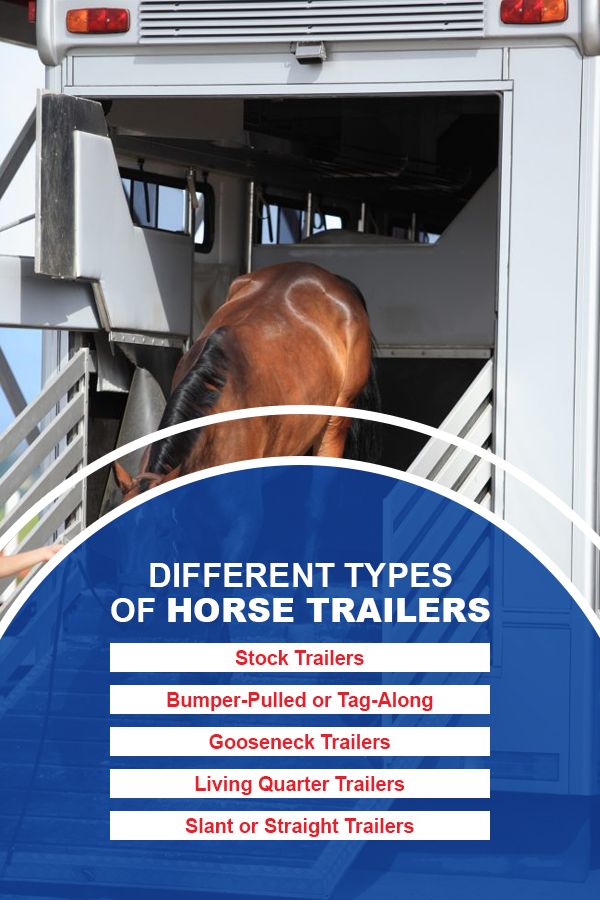 Different Types of Horse Trailers