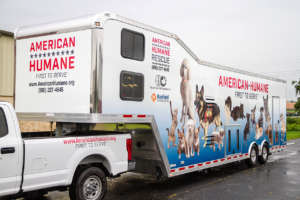 Custom design trailer for American Humane